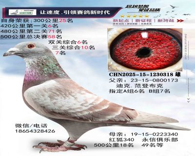 ���ǲ���