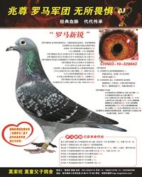 ���������ָ�