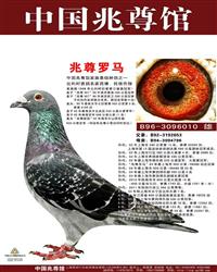 ��������ԭʼ��Ƭ