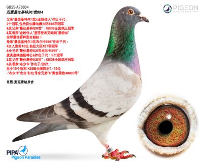 ��ѻ��ض����