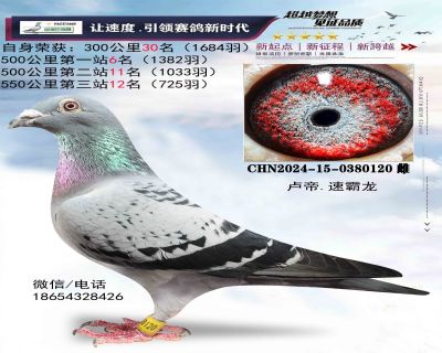 ¬���ٰ���