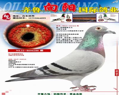 ���޺�288����