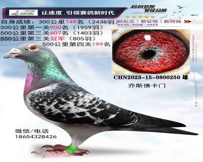 ��˹����