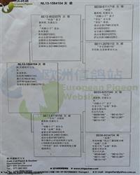 ����Ѫͳ��