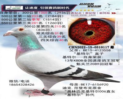 ���ǲ���