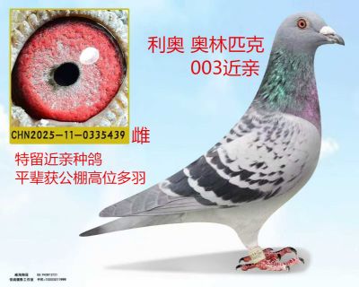 9708d18abf0ec0d6c7568c78f19d7816_����