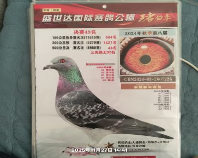 ΢��ͼƬ_20260325175445_165_4