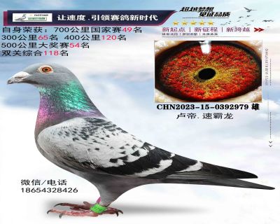 ��¬���ٰ���