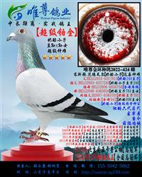 ĸ�ס���������