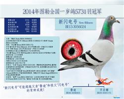 �游�������硿