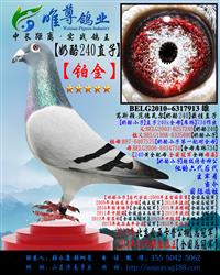 ���游������