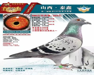 ����264��