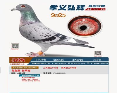 ����368��