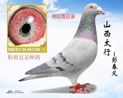 �����˽���