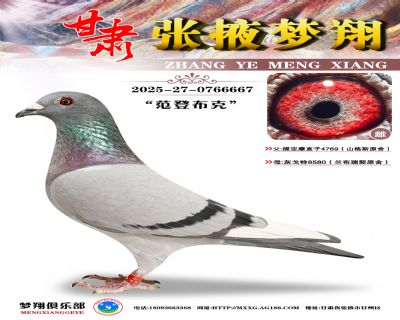 �ھ���������Ħ667