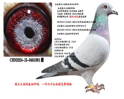 ɣ��ʿ���������ָ�091