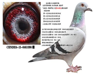 ɣ��ʿ������ĸ098