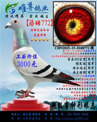 ����ķ772�����ý�������