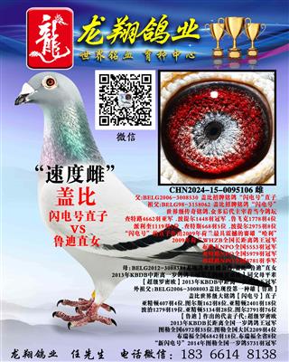 ���׸ǱȴƳ���