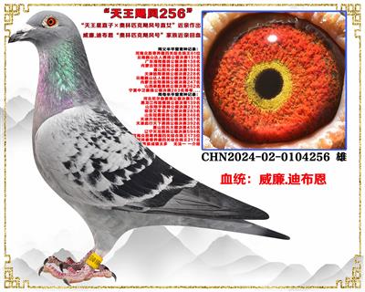 ���ڻ���������