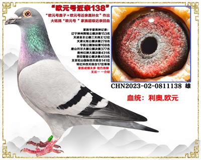 ���ڻ���������.....