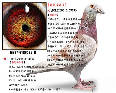 ���ǲ��ˡ��ú�š�ֱ��