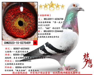 ɣ��ʿ��һ��ʿXɣ��ʿ�����ִ�