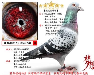 ɣ��ʿ����2��X������ֱ��������ۡ�