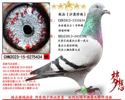 ɣ��ʿ��Ʒ�����ۣ�������ĸ��