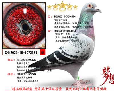 ɣ��ʿ����2��X������ֱ��������ۡ�