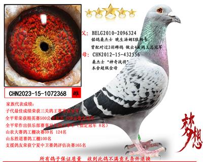 ��������ķX�ǹ��š�Xɣ��ʿ����ս������