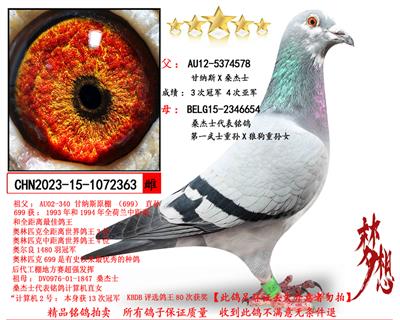 ����˹Xɣ��ʿ����һ��ʿ��X�ǹ�������