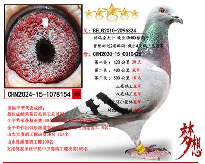 ɣ��ʿ��������ķ��X˫�عھ������Ǿ�