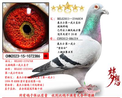 ɣ��ʿ��һ��ʿXɣ��ʿ��һ��ʿֱ��Ů