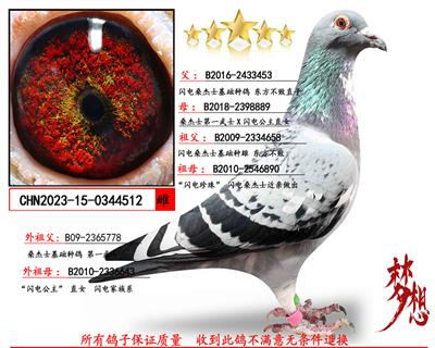 ����ɣ��ʿ���������ܡ�X��������