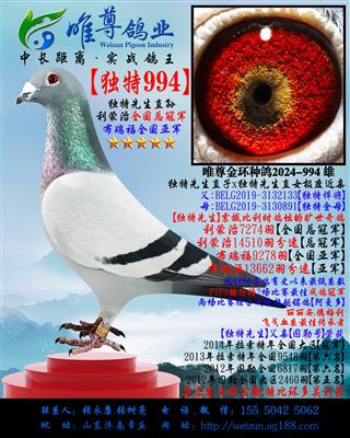 ������994������������������ֱ��