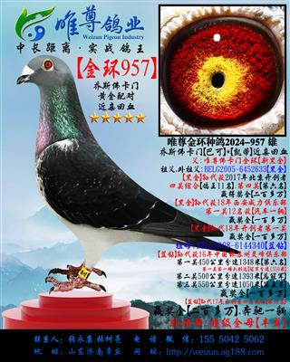 ����˹���š���957