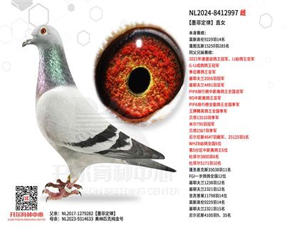 ��ī�ƶ��ɡ�ֱŮ