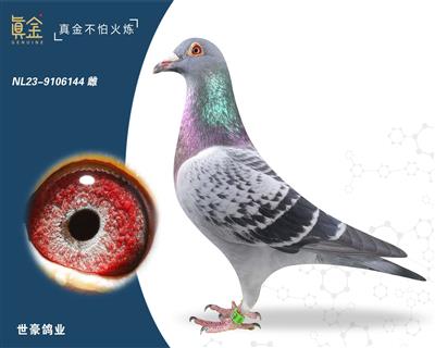 ���¿���