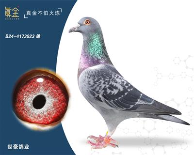 ��ѿ���923