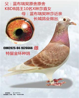 mmexport1762384739999