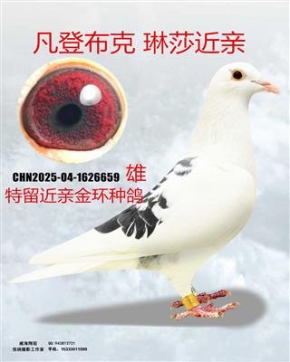 mmexport1762384717411