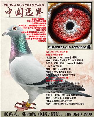 ���ض�006ȫƽ������