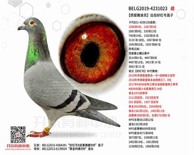 �������ŵϿˡ����Ժú��ֱ��