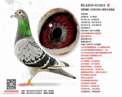 ��Ư���ơ�030���ֵܡ����ض��׽���