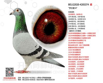 �ޱ���74��С����ֱ�ӡ��ұȶ�303ֱŮ