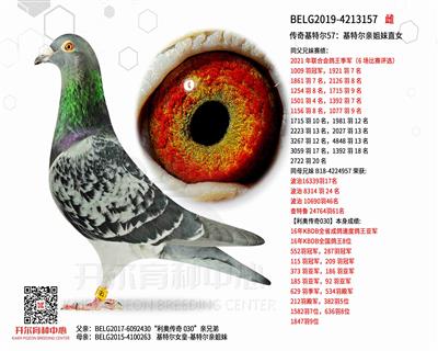 ������ض�57�����ض��׽���ֱŮ