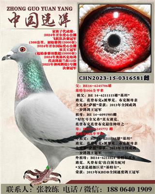 ���ض�006ȫƽ������