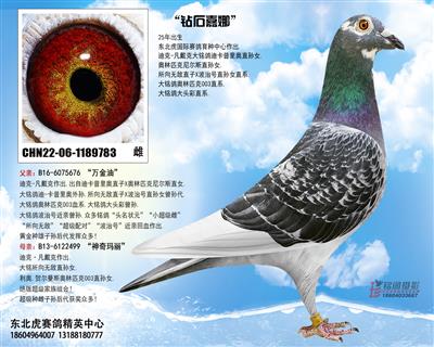 ��ʯ����