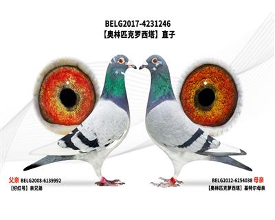 ������ƥ����������ֱ��